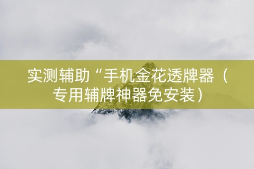 实测辅助“手机金花透牌器（专用辅牌神器免安装）