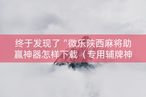 终于发现了“微乐陕西麻将助赢神器怎样下载（专用辅牌神器免安装）
