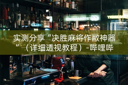 实测分享“决胜麻将作敝神器”（详细透视教程）-哔哩哔哩