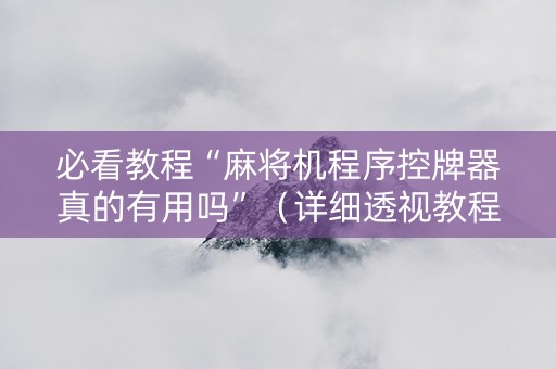 必看教程“麻将机程序控牌器真的有用吗”（详细透视教程）-哔哩哔哩