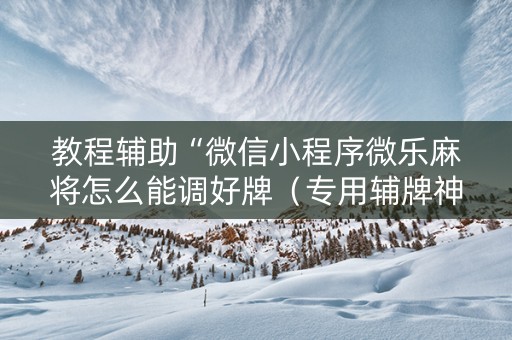 教程辅助“微信小程序微乐麻将怎么能调好牌（专用辅牌神器免安装）