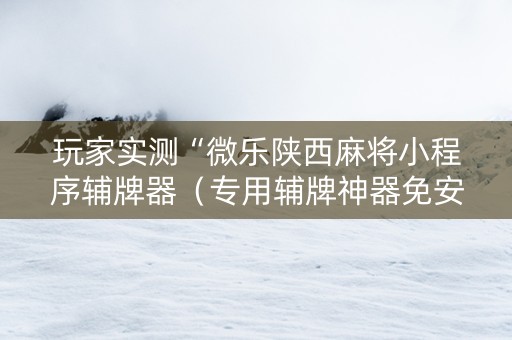 玩家实测“微乐陕西麻将小程序辅牌器（专用辅牌神器免安装）