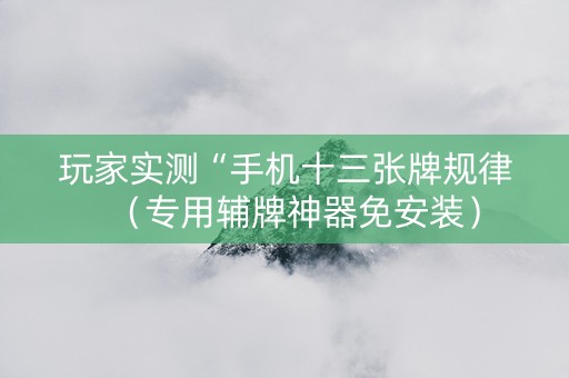 玩家实测“手机十三张牌规律（专用辅牌神器免安装）