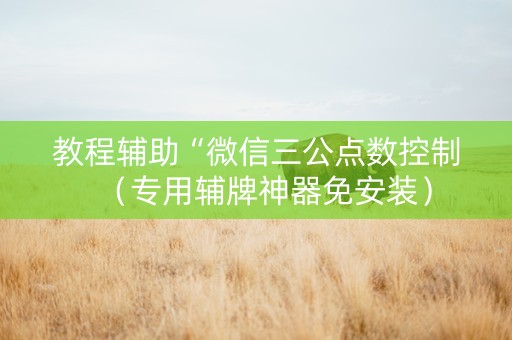 教程辅助“微信三公点数控制（专用辅牌神器免安装）