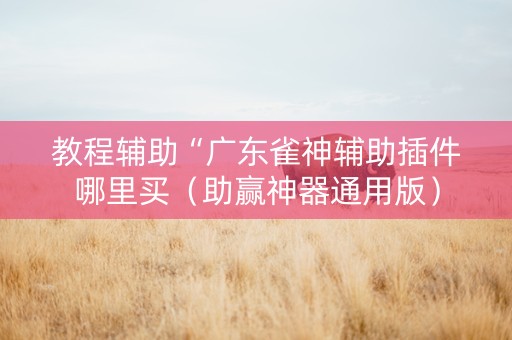 教程辅助“广东雀神辅助插件哪里买（助赢神器通用版）