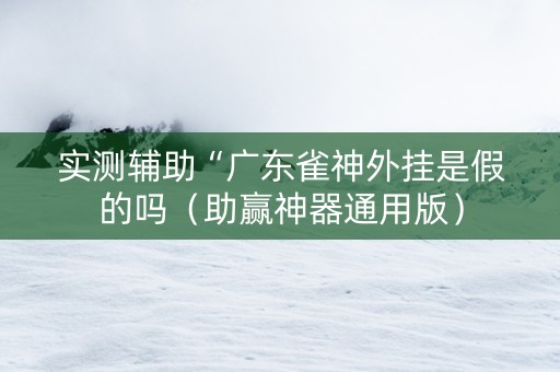 实测辅助“广东雀神外挂是假的吗（助赢神器通用版）