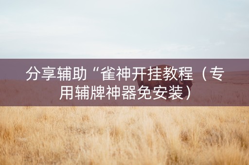 分享辅助“雀神开挂教程（专用辅牌神器免安装）