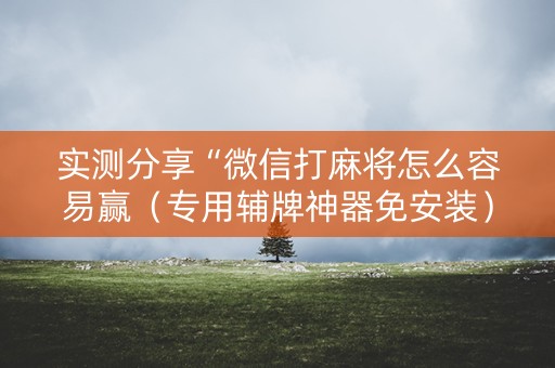 实测分享“微信打麻将怎么容易赢（专用辅牌神器免安装）