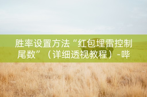 胜率设置方法“红包埋雷控制尾数”（详细透视教程）-哔哩哔哩