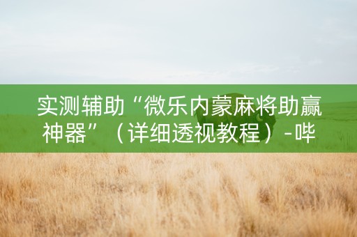 实测辅助“微乐内蒙麻将助赢神器”（详细透视教程）-哔哩哔哩