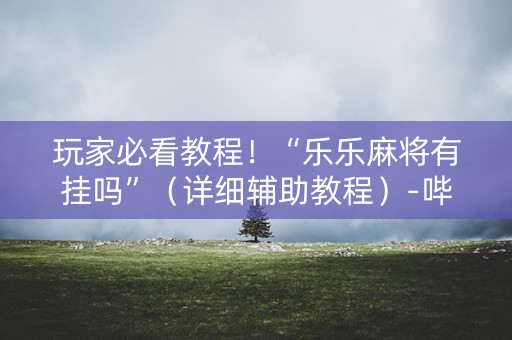 玩家必看教程！“乐乐麻将有挂吗”（详细辅助教程）-哔哩哔哩