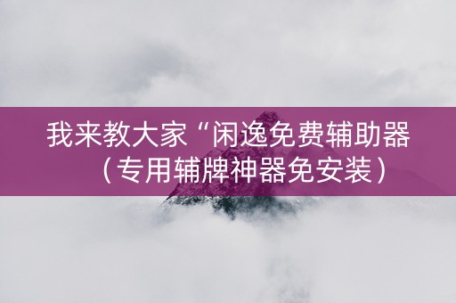 我来教大家“闲逸免费辅助器（专用辅牌神器免安装）