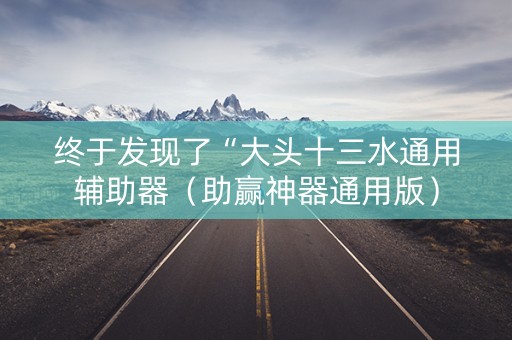 终于发现了“大头十三水通用辅助器（助赢神器通用版）