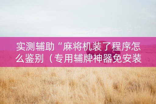 实测辅助“麻将机装了程序怎么鉴别（专用辅牌神器免安装）