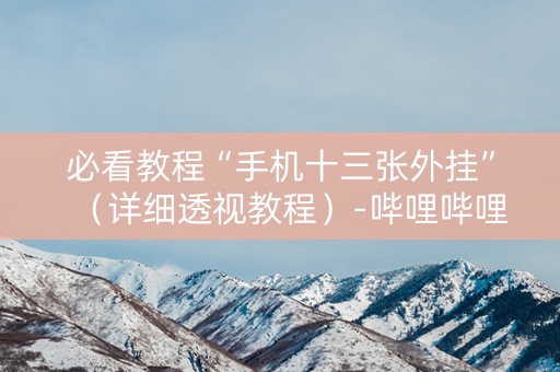 必看教程“手机十三张外挂”（详细透视教程）-哔哩哔哩