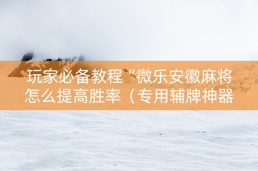 玩家必备教程“微乐安徽麻将怎么提高胜率（专用辅牌神器免安装）