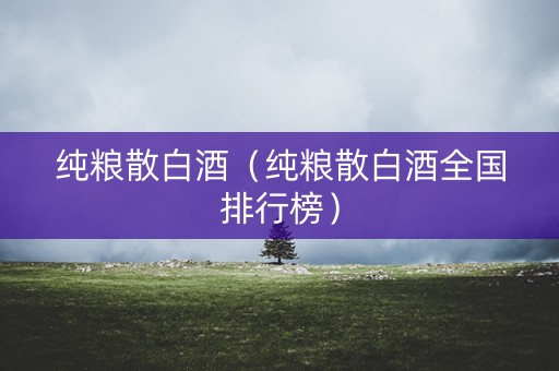 纯粮散白酒（纯粮散白酒全国排行榜）