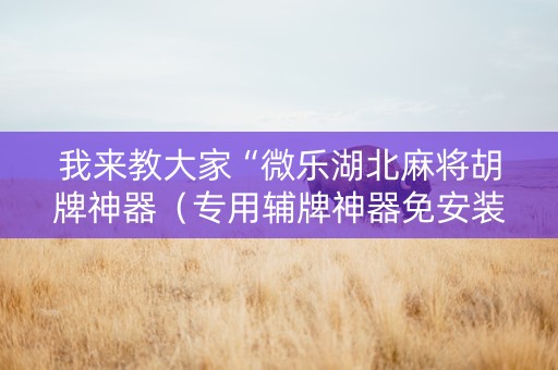 我来教大家“微乐湖北麻将胡牌神器（专用辅牌神器免安装）