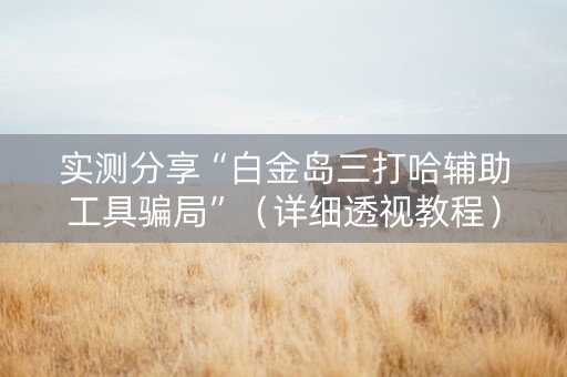 实测分享“白金岛三打哈辅助工具骗局”（详细透视教程）-哔哩哔哩