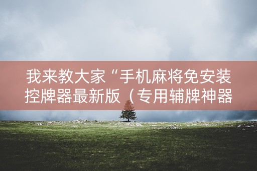 我来教大家“手机麻将免安装控牌器最新版（专用辅牌神器免安装）