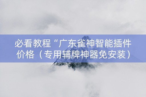 必看教程“广东雀神智能插件价格（专用辅牌神器免安装）