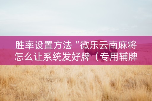 胜率设置方法“微乐云南麻将怎么让系统发好牌（专用辅牌神器免安装）