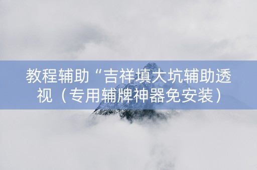 教程辅助“吉祥填大坑辅助透视（专用辅牌神器免安装）
