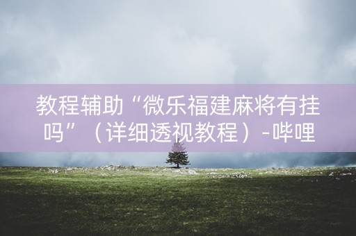 教程辅助“微乐福建麻将有挂吗”（详细透视教程）-哔哩哔哩