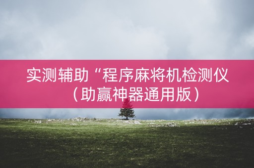 实测辅助“程序麻将机检测仪（助赢神器通用版）