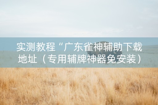 实测教程“广东雀神辅助下载地址（专用辅牌神器免安装）