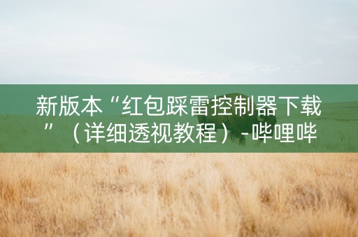 新版本“红包踩雷控制器下载”（详细透视教程）-哔哩哔哩