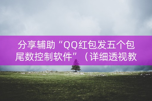 分享辅助“QQ红包发五个包尾数控制软件”（详细透视教程）-哔哩哔哩
