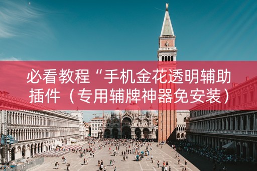 必看教程“手机金花透明辅助插件（专用辅牌神器免安装）