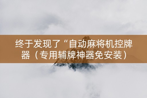 终于发现了“自动麻将机控牌器（专用辅牌神器免安装）
