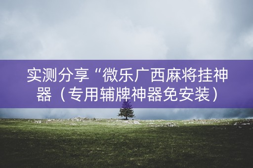 实测分享“微乐广西麻将挂神器（专用辅牌神器免安装）