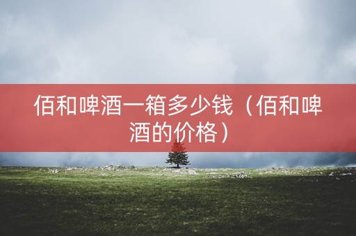 佰和啤酒一箱多少钱（佰和啤酒的价格）
