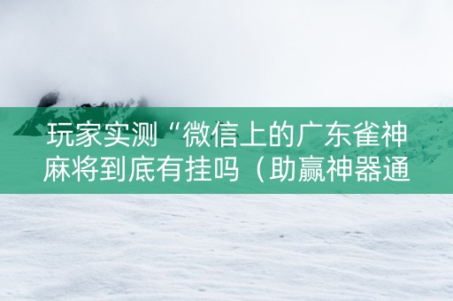 玩家实测“微信上的广东雀神麻将到底有挂吗（助赢神器通用版）