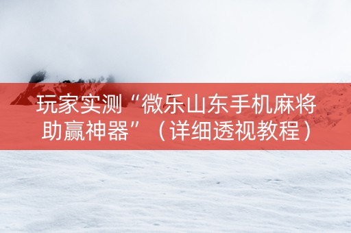玩家实测“微乐山东手机麻将助赢神器”（详细透视教程）-哔哩哔哩