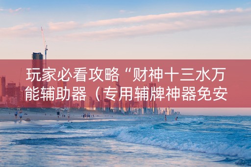 玩家必看攻略“财神十三水万能辅助器（专用辅牌神器免安装）