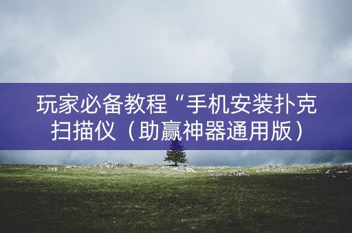 玩家必备教程“手机安装扑克扫描仪（助赢神器通用版）