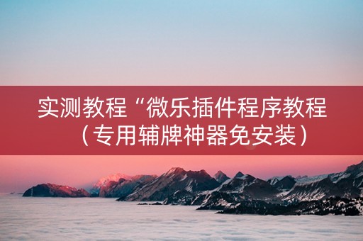 实测教程“微乐插件程序教程（专用辅牌神器免安装）
