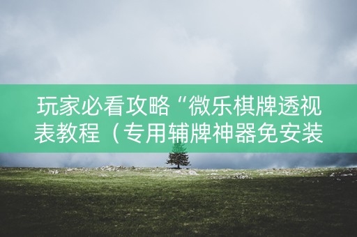 玩家必看攻略“微乐棋牌透视表教程（专用辅牌神器免安装）