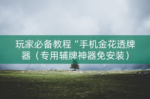 玩家必备教程“手机金花透牌器（专用辅牌神器免安装）