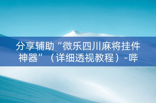 分享辅助“微乐四川麻将挂件神器”（详细透视教程）-哔哩哔哩