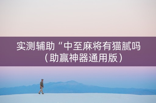 实测辅助“中至麻将有猫腻吗（助赢神器通用版）