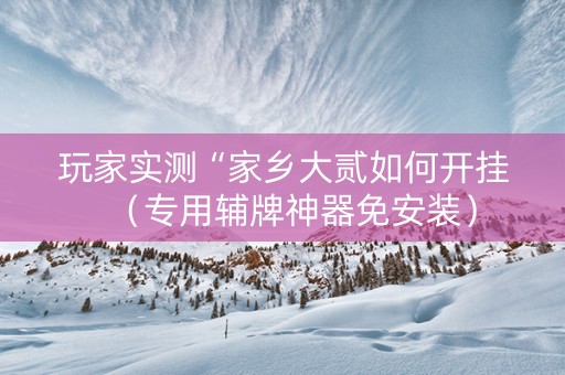 玩家实测“家乡大贰如何开挂（专用辅牌神器免安装）