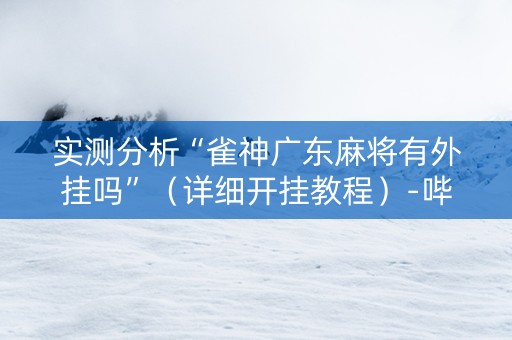 实测分析“雀神广东麻将有外挂吗”（详细开挂教程）-哔哩哔哩