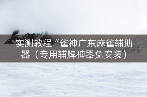 实测教程“雀神广东麻雀辅助器（专用辅牌神器免安装）