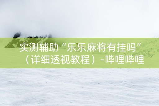 实测辅助“乐乐麻将有挂吗”（详细透视教程）-哔哩哔哩