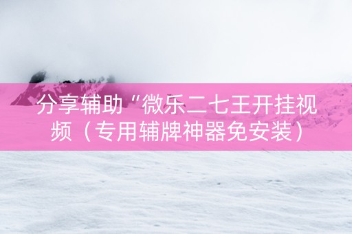 分享辅助“微乐二七王开挂视频（专用辅牌神器免安装）